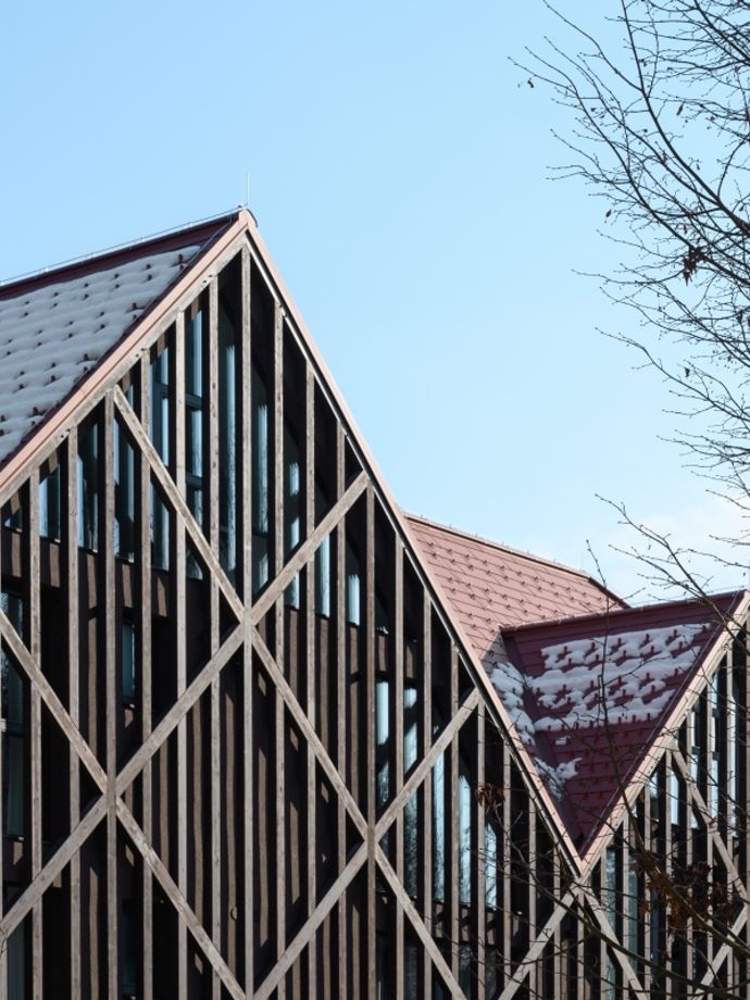 Wooden Facade on Hotel Čad